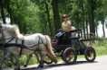 /album/menrit-04-06-2011/a06-04-2011-33-jpg/